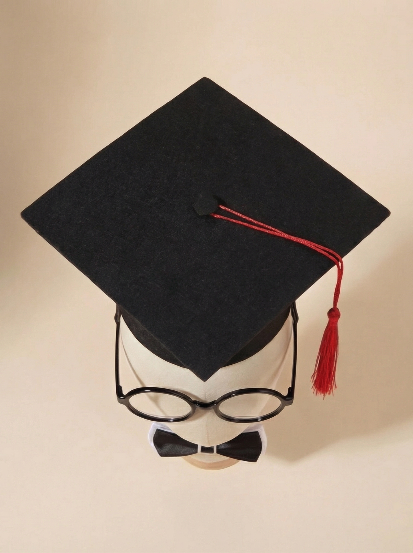 Graduate Dogree